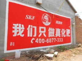 镇巴刷墙广告”蕴含了时代命题