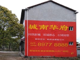 镇巴百分之90的人都不了解的农村墙体广告
