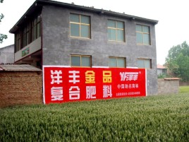 镇巴如何让墙体广告展现最大化效果