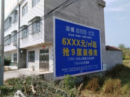 镇巴墙体广告质量分析