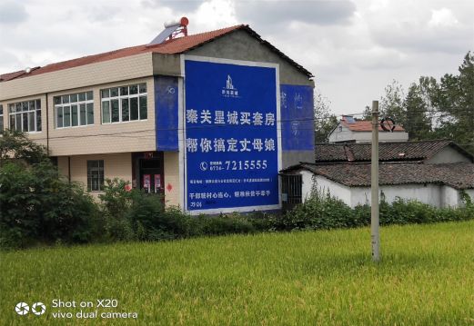 镇巴决定墙体广告价格的因素有哪些?