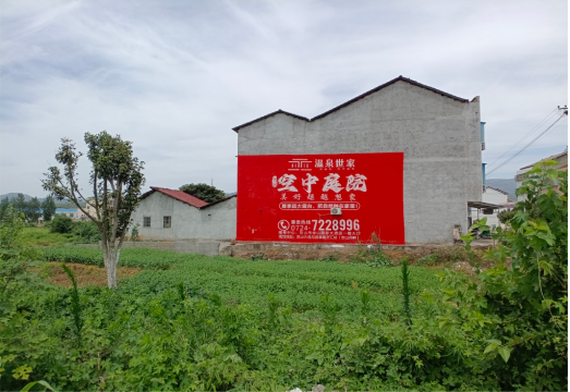 镇巴做墙体广告的意义