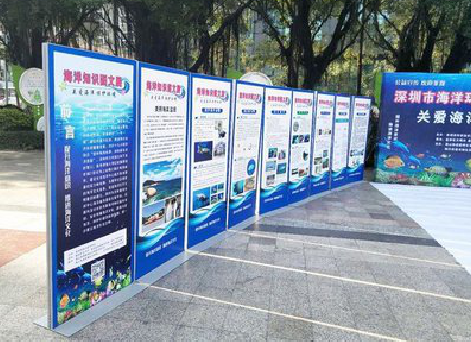 镇巴KT板的种类和知识。